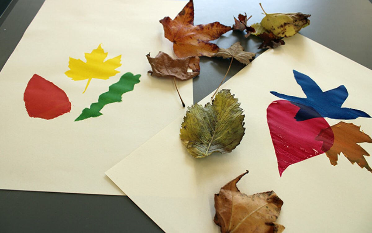 Pieces of paper with leaves and paint prints of leaves