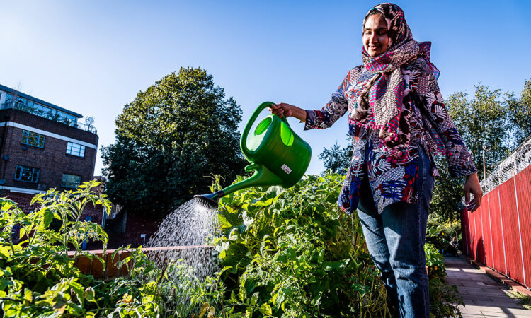 Lady in head scarf watering plants