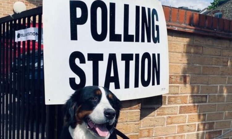 A black and brown dog on a lead next to a polling station sign