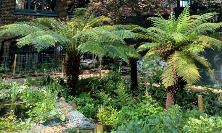 A pond, palm trees and greenery in the middle of a square of buildings
