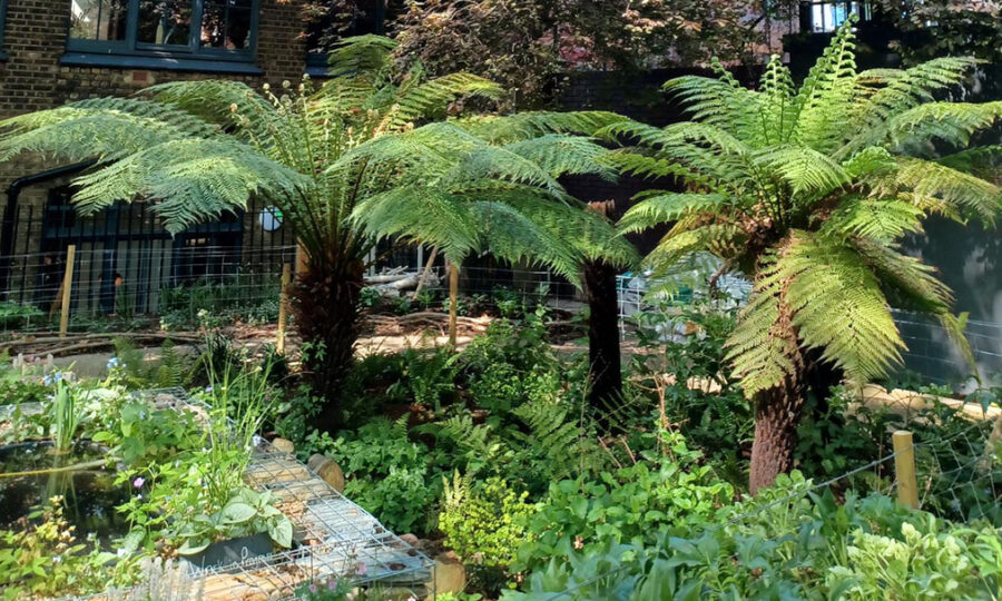 A pond, palm trees and greenery in the middle of a square of buildings